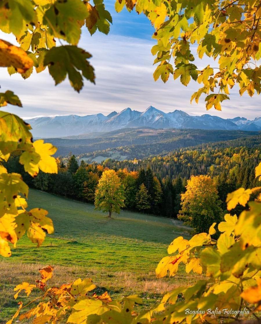 Viva Maria Apartamenty Zakopane Extérieur photo